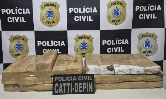 Polícia Civil realiza operação e apreende maconha avaliada em R$ 60 mil no Sudoeste da Bahia