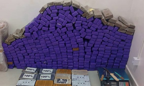 PM desmonta depósito de entorpecentes e apreende 371 tabletes de drogas em Vitória da Conquista