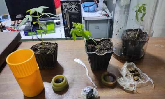 Polícia Rodoviária apreende drogas durante abordagem na BA-026, em Tanhaçu