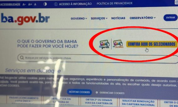 Llista dos selecionados