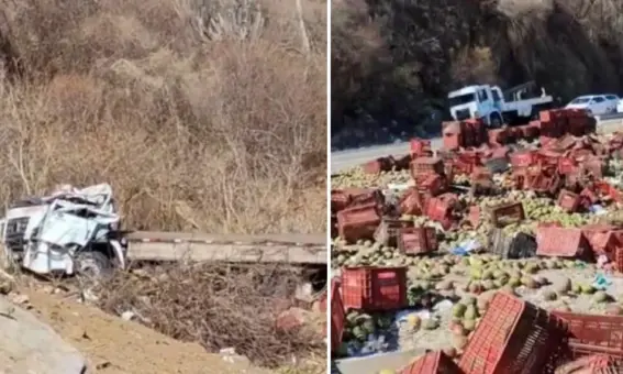 Caminhão carregado com mamão