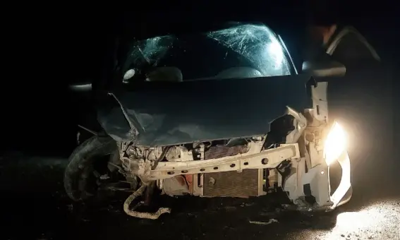 Colisão frontal na BR-242