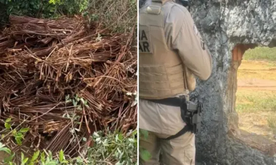 Tentativa de furto a subestação