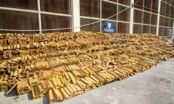 48 toneladas de maconha