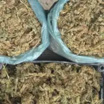 Drogas em Seabra