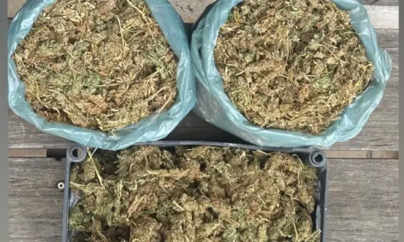 Drogas em Seabra