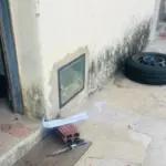 Brumado