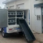 Tanhaçu