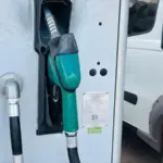 Gasolina