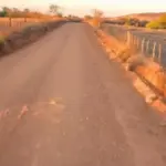 Estradas