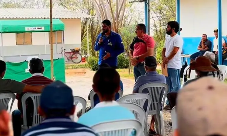 Tanhaçu